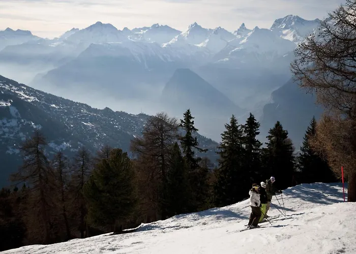 In Out Luxury & Mountain By Alpvision Residences Appartement *